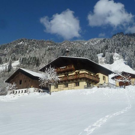 Villa Rainerhof à Dorfgastein Extérieur photo